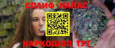 сатива Краснокаменск