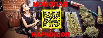 сатива Краснокаменск