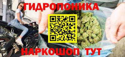 шишки Краснознаменск